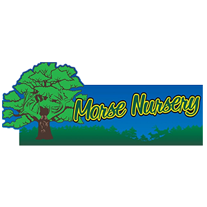 MorseNursery