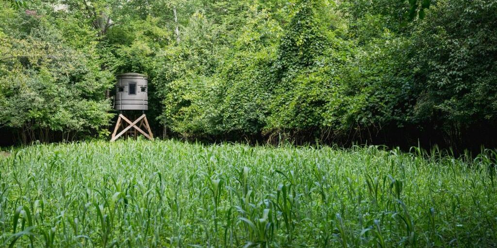 Habitat Podcast 293: The Small Parcel Series: Holding mountain bucks on 10 acres in Pennsylvania with David Hoy