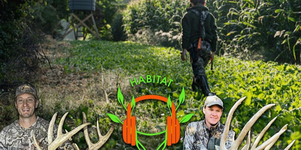 Habitat Podcast Episode 300 special! The first 3 things you need to do with a new farm with Skip Sligh and Cory Franceus