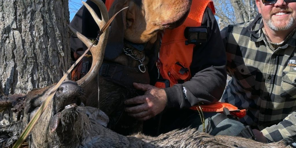 Habitat Podcast 304: My 2024 Michigan Archery Buck and the WILD story behind it! Finding your buck still alive, organ blood vs muscle blood, and always trim your shooting lanes with Dylan Major and Cory Franceus